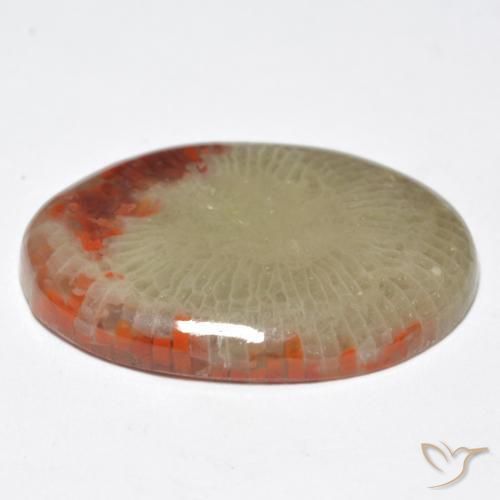 Coral Multicolorido Natural 10.32ct, oval, Translúcido