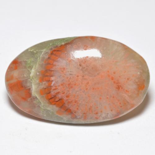 Coral multicolorido natural 11,38ct, corte oval, translúcido