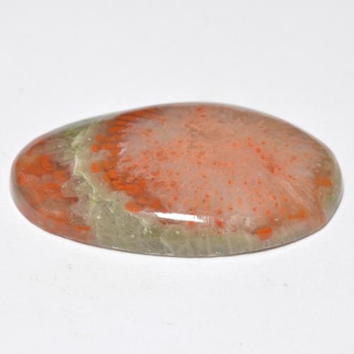 Coral multicolorido natural 11,38ct, corte oval, translúcido