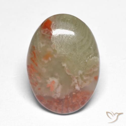 5.88ct Natural Multicolorido Coral, oval, Translúcido