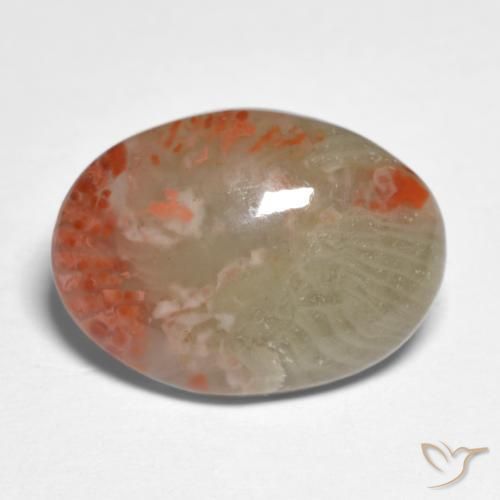 Coral Multicolorido Natural 5.88ct, oval, Translúcido