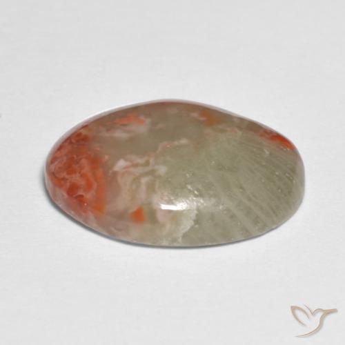 Coral Multicolorido Natural 5.88ct, oval, Translúcido