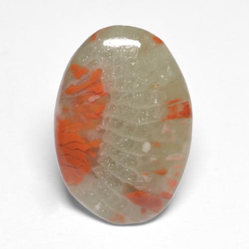 Coral multicolorido natural 5,03ct, corte oval, translúcido
