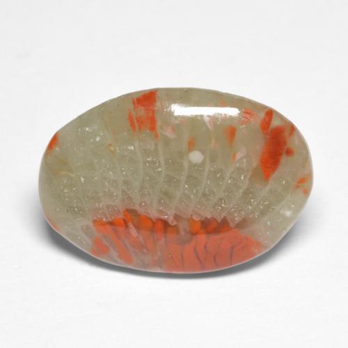Coral multicolorido natural 5,03ct, corte oval, translúcido