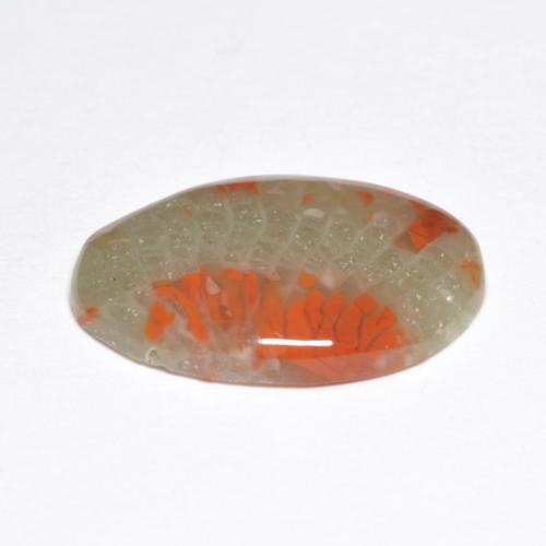 Coral multicolorido natural 5,03ct, corte oval, translúcido