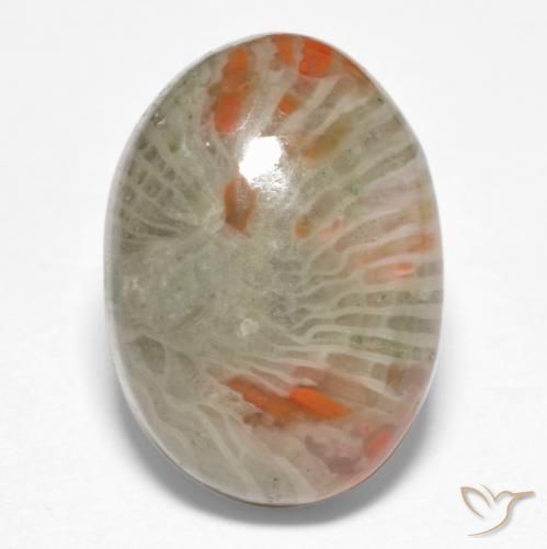 6.74ct Natural Multicolorido Coral, oval, Opaco