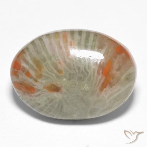 Coral Multicolorido Natural 6.74ct, oval, Opaco