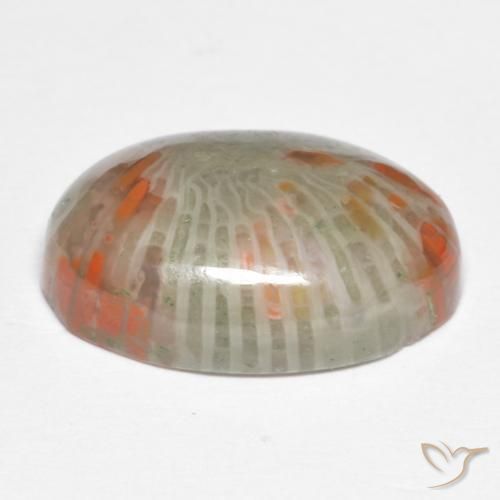 Coral Multicolorido Natural 6.74ct, oval, Opaco