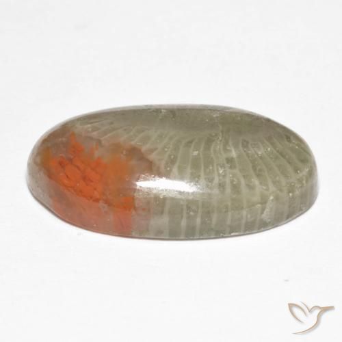 Coral Multicolorido Natural 8.25ct, oval, Translúcido