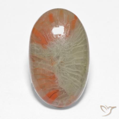 5.68ct Natural Multicolorido Coral, oval, Translúcido