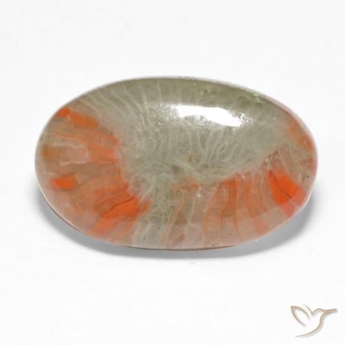 Coral Multicolorido Natural 5.68ct, oval, Translúcido