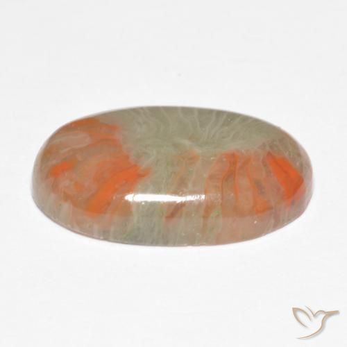 Coral Multicolorido Natural 5.68ct, oval, Translúcido