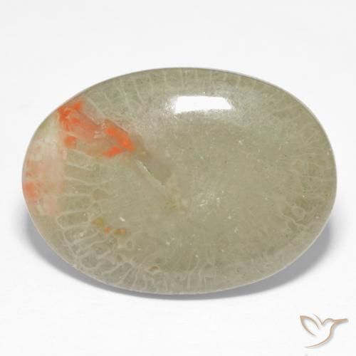 Coral Multicolorido Natural 15.23ct, oval, Translúcido