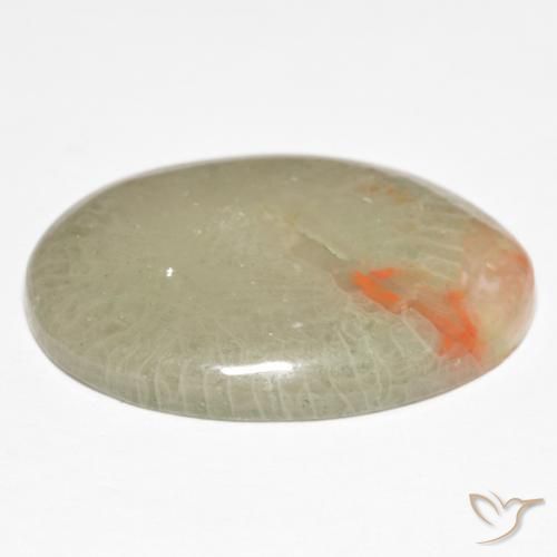 Coral Multicolorido Natural 15.23ct, oval, Translúcido