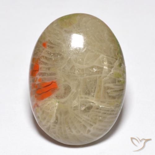 10.40ct Natural Multicolorido Coral, oval, Opaco