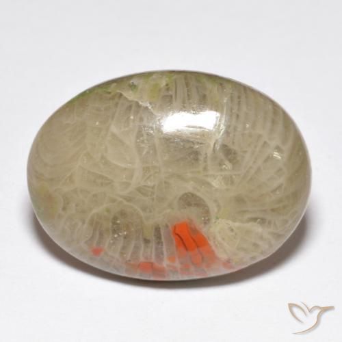 Coral Multicolorido Natural 10.40ct, oval, Opaco