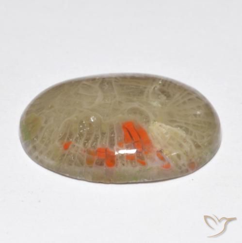 Coral Multicolorido Natural 10.40ct, oval, Opaco