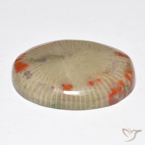 Coral Multicolorido Natural 14.86ct, oval, Translúcido