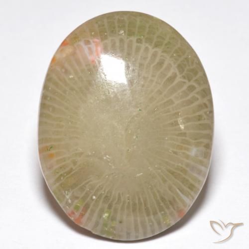 13.91ct Natural Multicolorido Coral, oval, Translúcido