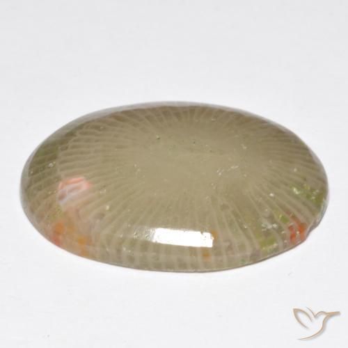 Coral Multicolorido Natural 13.91ct, oval, Translúcido