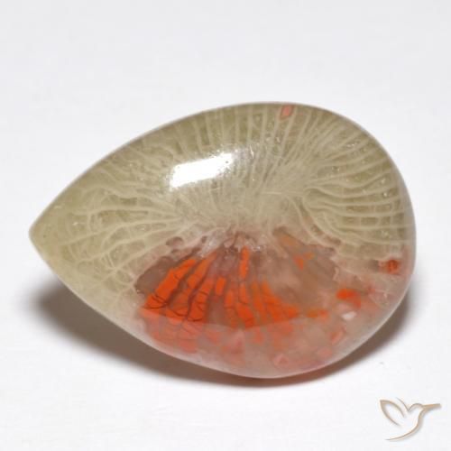 Coral Multicolorido Natural 10.46ct, Formato de pêra, Translúcido