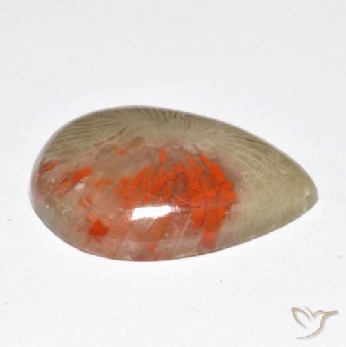 Coral Multicolorido Natural 10.46ct, Formato de pêra, Translúcido