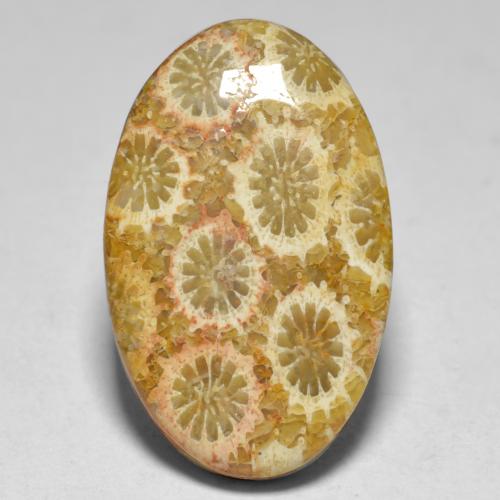 Coral multicolorido natural 15,10ct, corte oval, opaco