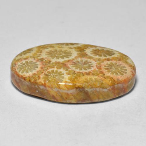 Coral multicolorido natural 15,10ct, corte oval, opaco