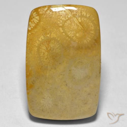 17.79ct Natural Multicolorido Coral, Almofada, Opaco