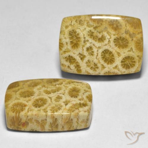 Pedras preciosas de Coral Multicolorido natural de 30.59 ct, Almofada, Opaco