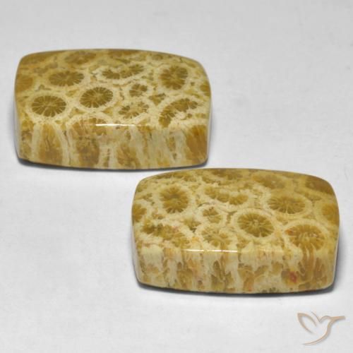 Pedras preciosas de Coral Multicolorido natural de 30.59 ct, Almofada, Opaco