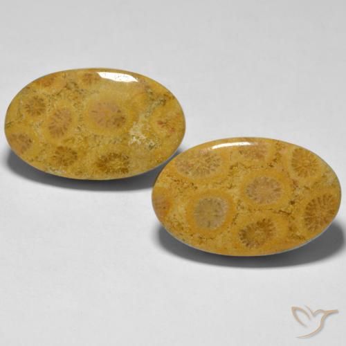 27.44ctw Natural Multicolorido Coral, oval, Opaco