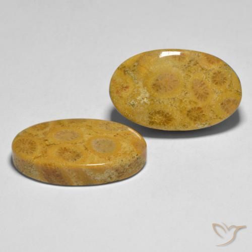 Pedras preciosas de Coral Multicolorido natural de 27.44 ct, oval, Opaco