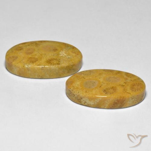 Pedras preciosas de Coral Multicolorido natural de 27.44 ct, oval, Opaco