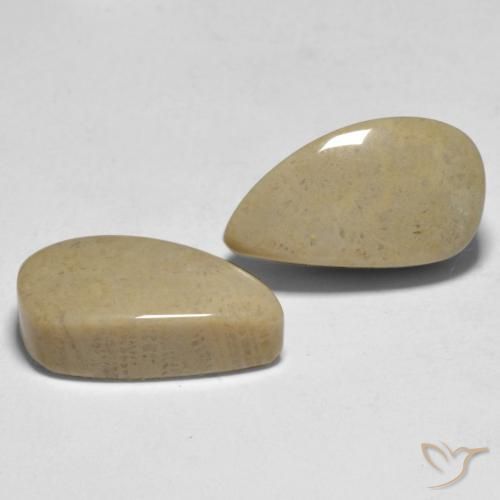 Pedras preciosas de Coral Multicolorido natural de 16.75 ct, Chique, Opaco