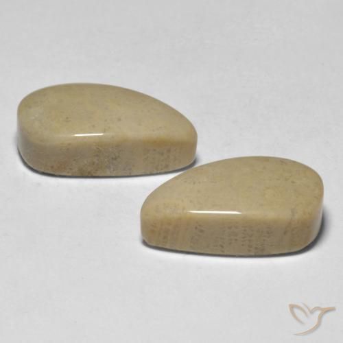 Pedras preciosas de Coral Multicolorido natural de 16.75 ct, Chique, Opaco