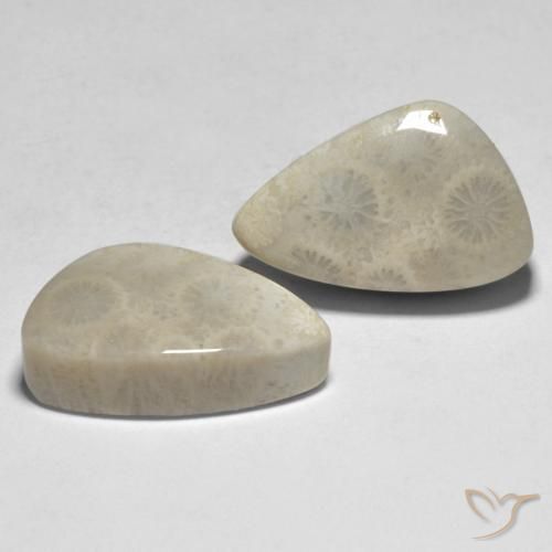 Pedras preciosas de Coral Multicolorido natural de 21.04 ct, Chique, Opaco