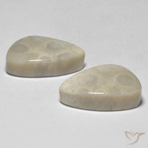 Pedras preciosas de Coral Multicolorido natural de 21.04 ct, Chique, Opaco