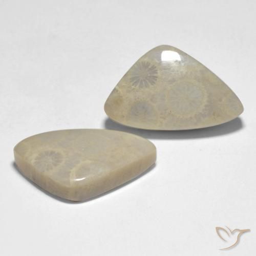 Pedras preciosas de Coral Multicolorido natural de 19.10 ct, Chique, Opaco
