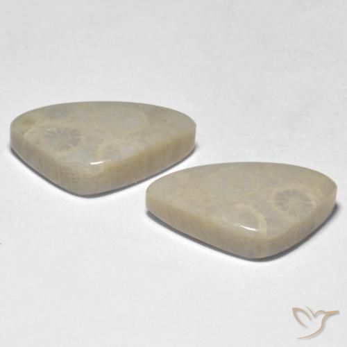 Pedras preciosas de Coral Multicolorido natural de 19.10 ct, Chique, Opaco
