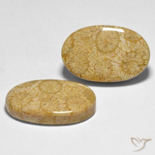 Pedras preciosas de Coral Multicolorido natural de 24.74 ct, oval, Opaco