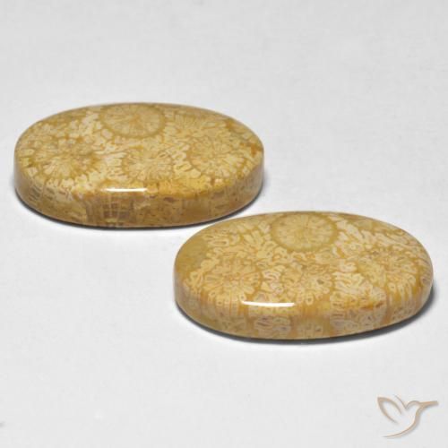 Pedras preciosas de Coral Multicolorido natural de 24.74 ct, oval, Opaco