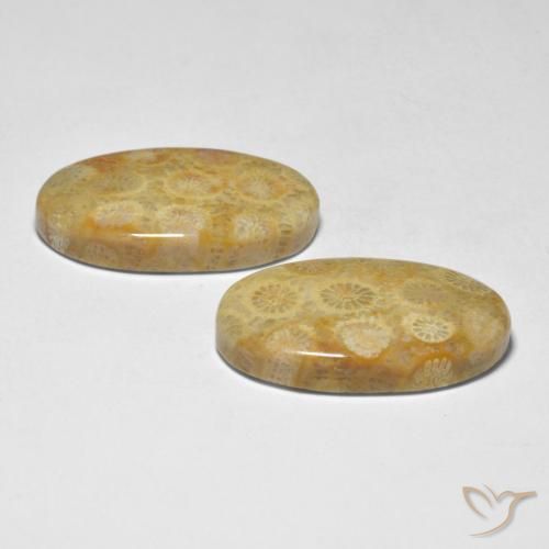 Pedras preciosas de Coral Multicolorido natural de 28.98 ct, oval, Opaco
