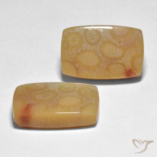 Pedras preciosas de Coral Multicolorido natural de 23.35 ct, Almofada, Translúcido