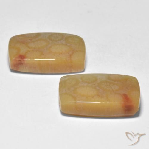 Pedras preciosas de Coral Multicolorido natural de 23.35 ct, Almofada, Translúcido