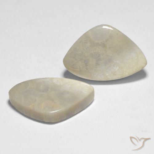 Pedras preciosas de Coral Multicolorido natural de 23.71 ct, Chique, Opaco