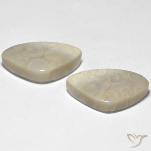 Pedras preciosas de Coral Multicolorido natural de 23.71 ct, Chique, Opaco
