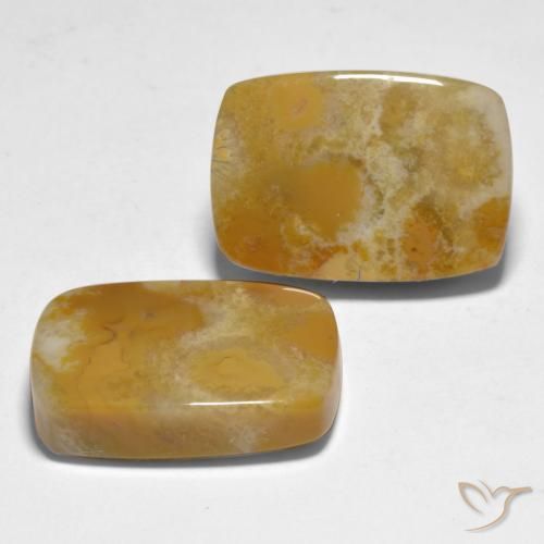 Pedras preciosas de Coral Multicolorido natural de 28.12 ct, Almofada, Opaco