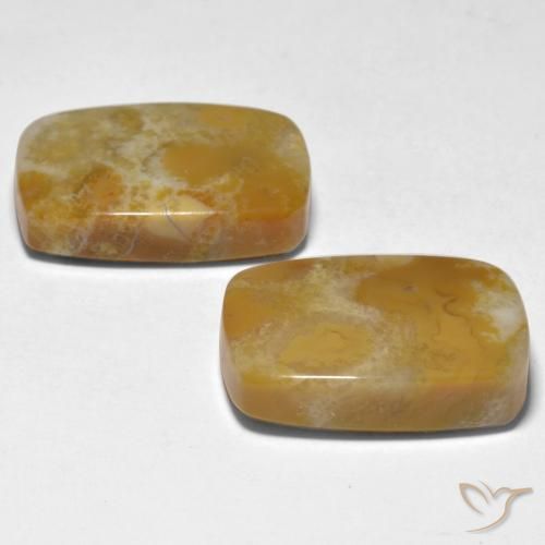 Pedras preciosas de Coral Multicolorido natural de 28.12 ct, Almofada, Opaco