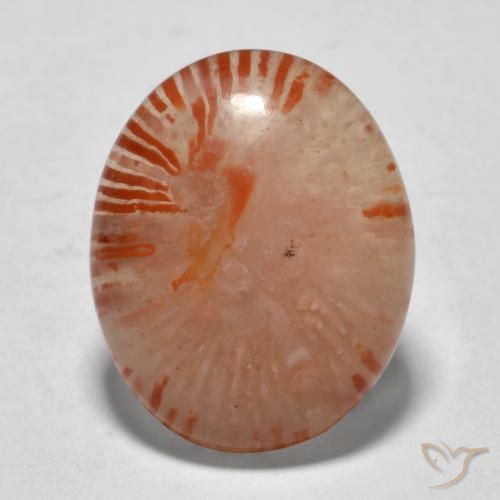 9.94ct Natural Multicolorido Coral, oval, Translúcido